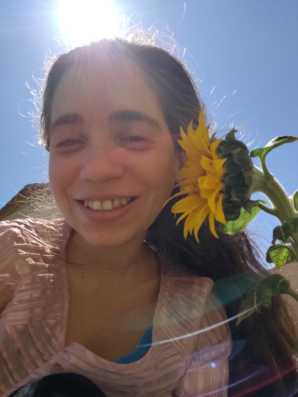 The Message of the Sunflower. Post 444 energy&nbsp;reading.