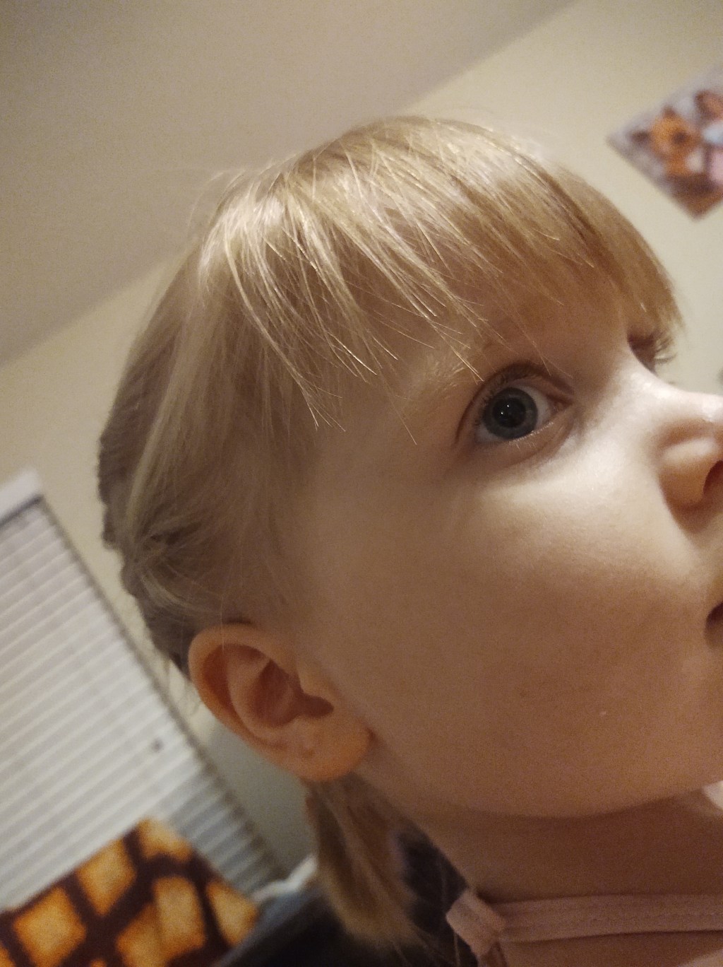 Gratitude Challenge (3)