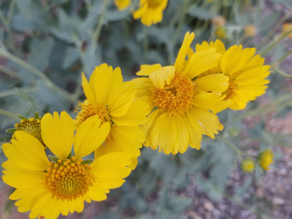 You Freed my&nbsp;heart.