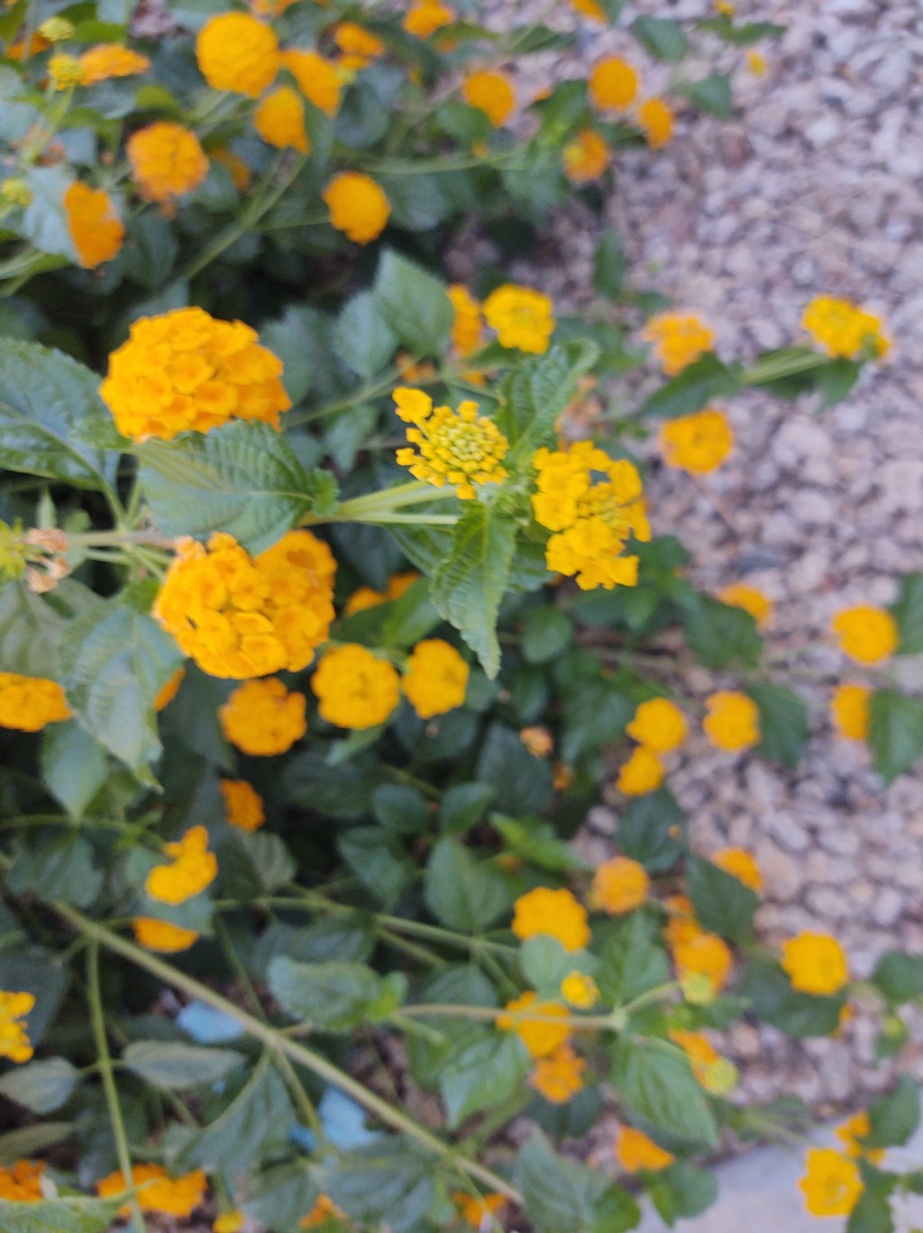 Empath, keep your drama from the energy&nbsp;vampires