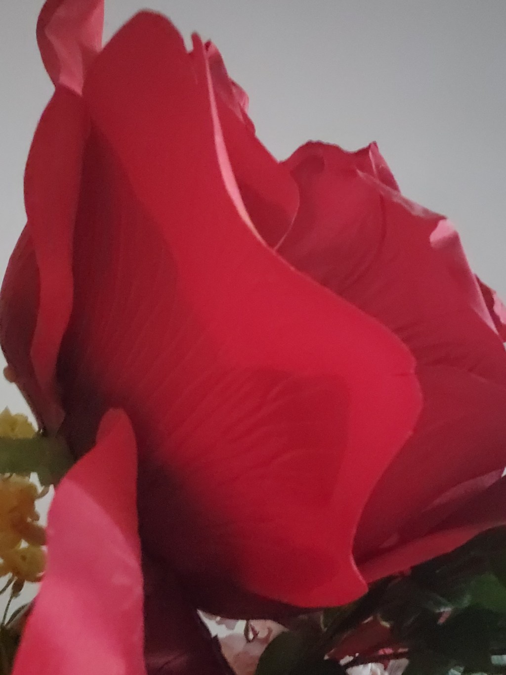 Sexual union poetry. Scorpio – Sagittarius&nbsp;cusp